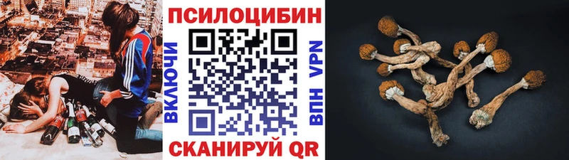 Псилоцибиновые грибы GOLDEN TEACHER дарк нет какой сайт Холмск omg как зайти
