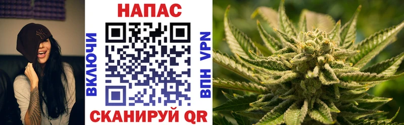 Бошки Шишки гибрид  как найти закладки  Холмск 